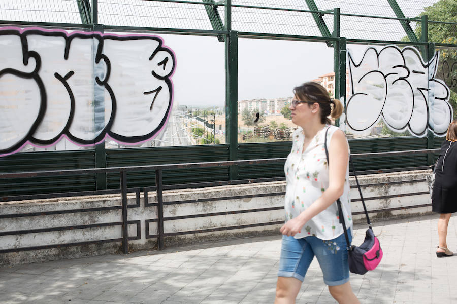 Aparecen pintados con grafitis las mamparas de cristal del puente de Renfe en Camino de Ronda