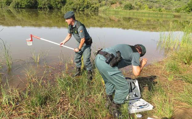 Cinco investigados por vertidos en el Rumblar