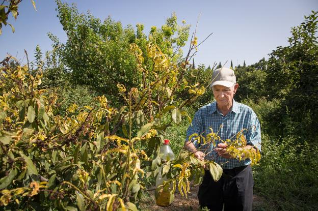 Las huellas del cambio climático en la Vega