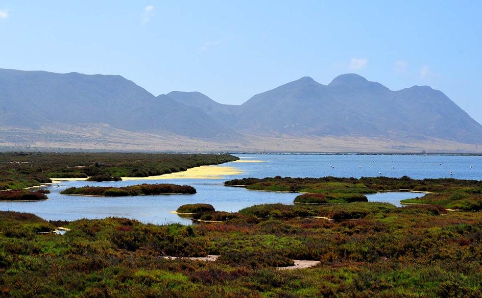 HUMEDALES, LA ESPERANZA CLIMÁTICA