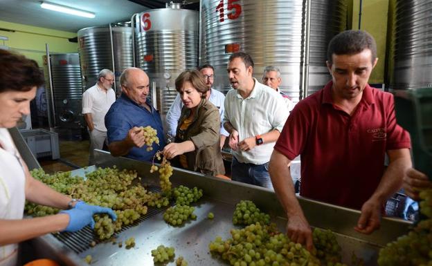 El sector vitivinícola de Granada logra 6.200 toneladas de uva y genera 50.000 empleos