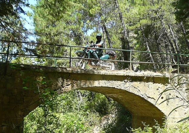 Seiscientos ojos buscan furtivos