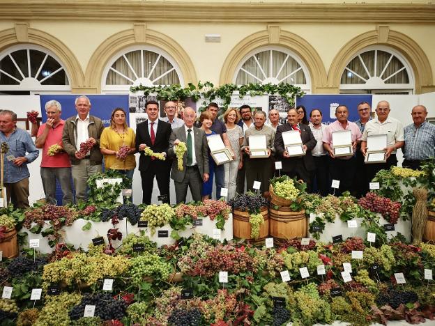 Doce mil plantas de variedades de uva de mesa, 'a salvo' en la provincia