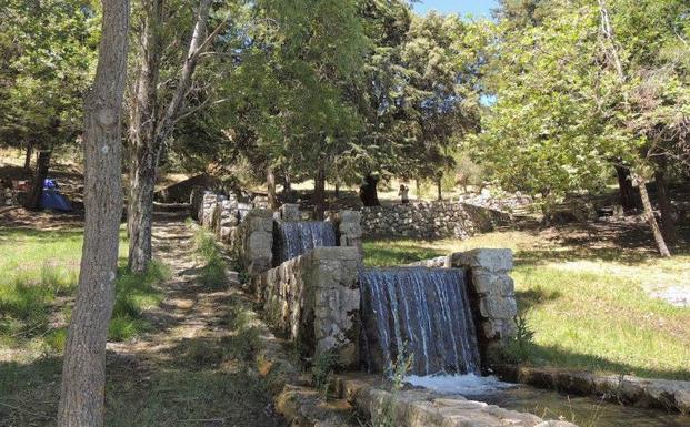 Medio Ambiente comienza a actuar en la Fuenmayor, según lo planificado con el Ayuntamiento de Torres