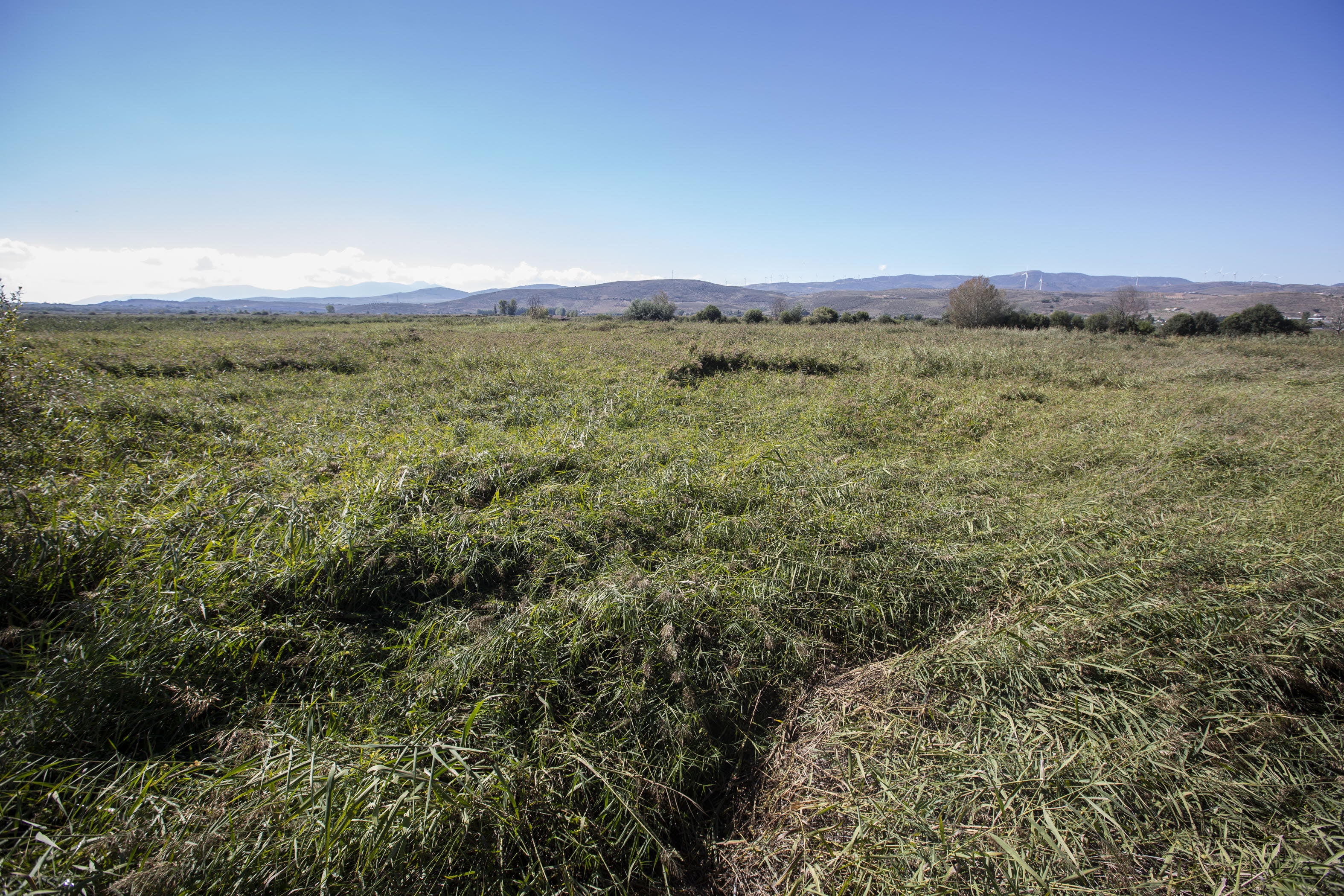 La Ruta del Mamut, un lugar privilegiado donde conocer un poco de la prehistoria