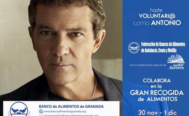 UGR Solidaria llama a la participación en la Gran Recogida para el Banco de Alimentos de Granada