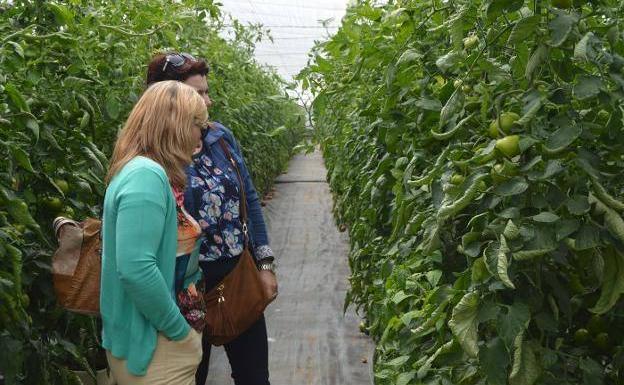 La delegada del Gobierno andaluz anima en Jaén «a seguir con actuaciones para la mujer en el medio rural»