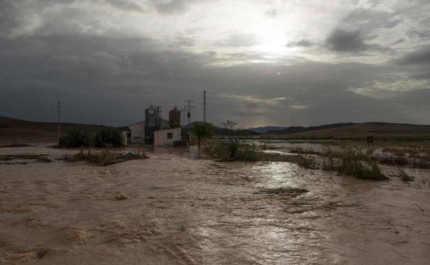 Plan alternativo de Renfe para las conexiones por tren de Granada con Sevilla y Algeciras tras las fuertes lluvias