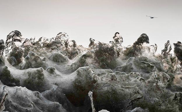 Las arañas del terror tienden su 'red de redes'