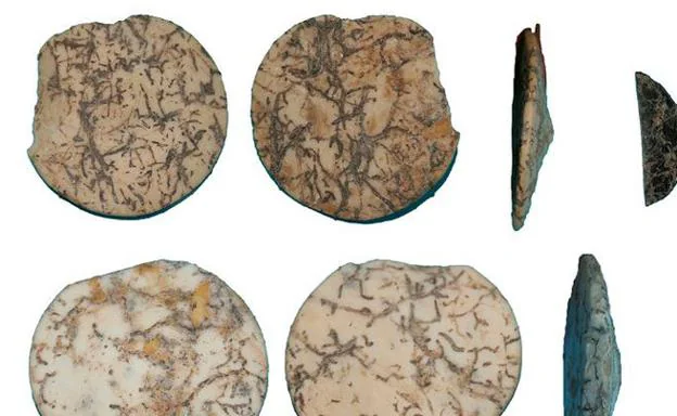 suerte mayoria Regan Identifican cómo eran las joyas prehistóricas de un poblado de Granada de  hace 7.000 años | Ideal