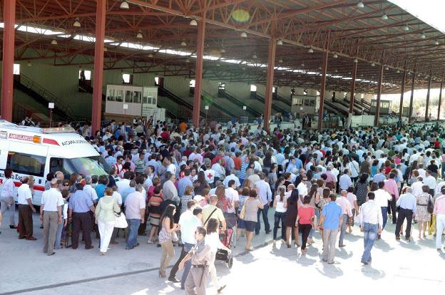 El corazón cooperativo del olivar jienense