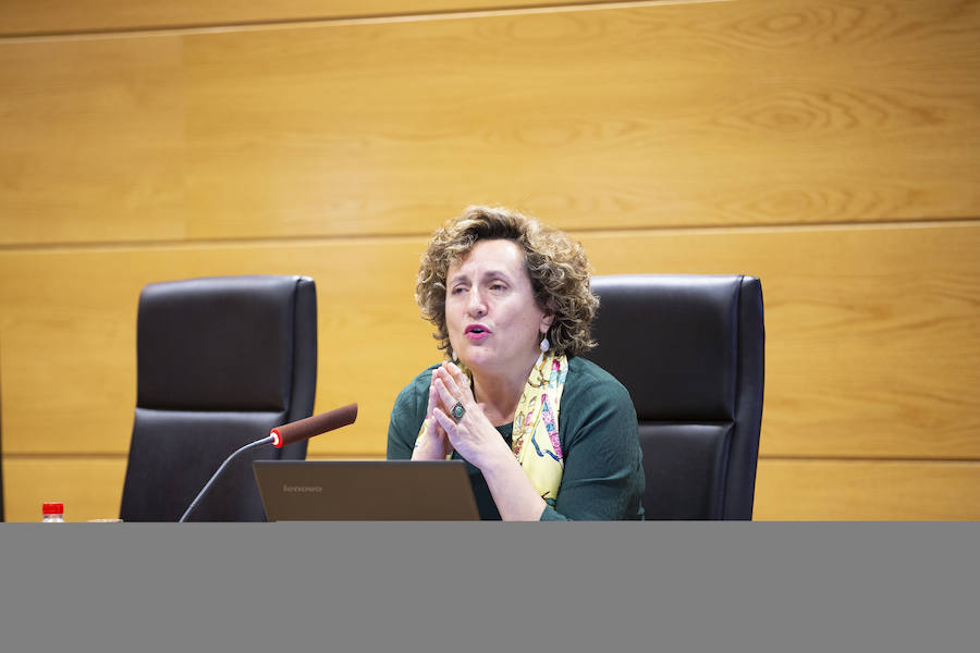 Jornadas organizadas por la UGR sobre el caso de Juana Rivas