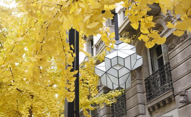 Un 'fósil viviente' y otros árboles que tiñen de amarillo la ciudad de Granada