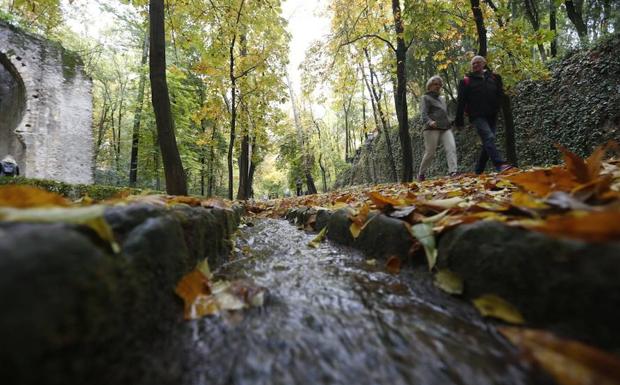 El bosque de la Alhambra se rinde al otoño