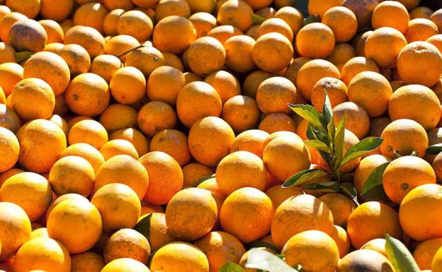 Siete detenidos por robar 2.700 kilos de naranjas