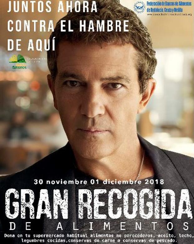 Jaén se prepara para la Gran Recogida de Alimentos