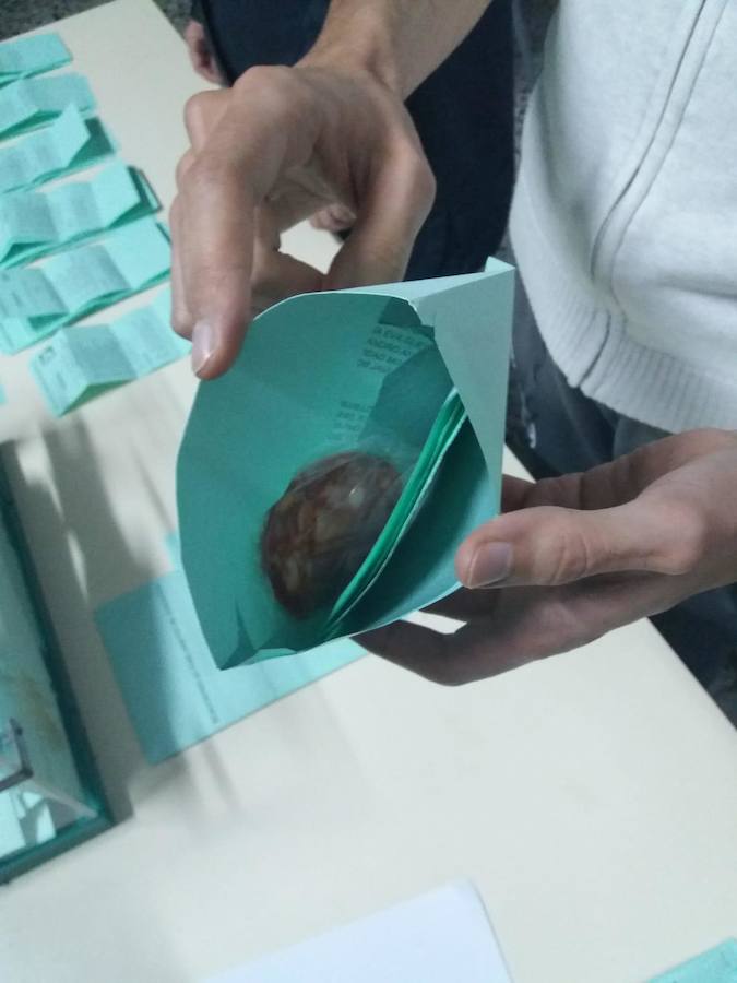 Un voto para VOX con rodaja de chorizo en Motril y otro contra el dolor de cabeza en Loja
