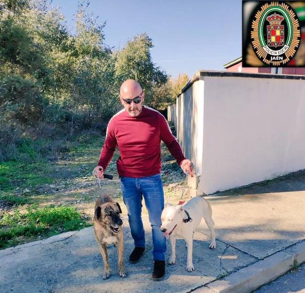Multa por dejar a sus dos perros sueltos en Puente Tablas en Jaén capital