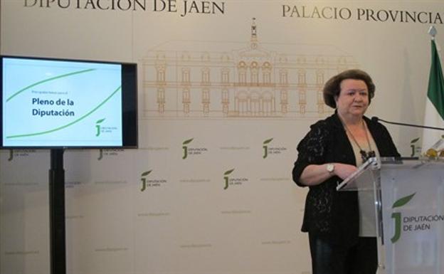 Diputación aprobará en su último pleno del año más de 1,1 millón para obras y servicios de 11 municipios