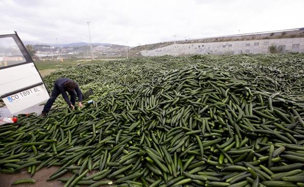 El ferial de Motril acumula ya 2 millones de kilos de pepinos 'destruidos'