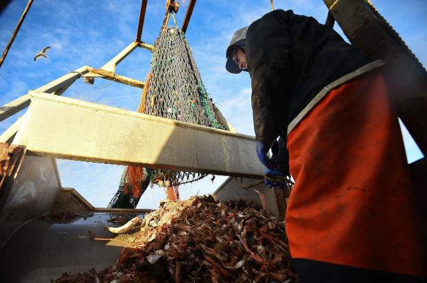 A la pesca de un buen 'Brexit'