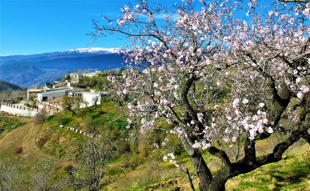 La Sierra de la Contraviesa comienza a cubrirse de blanco