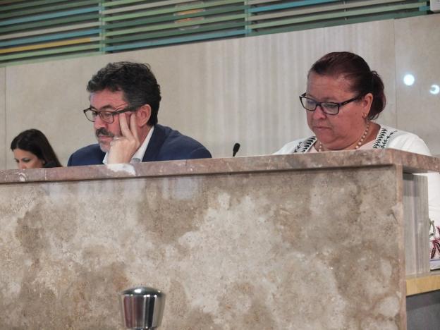 El grupo municipal de IU se rompe en dos tras la decisión del consejo de cambiar al portavoz