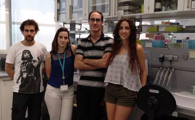 Demuestran que el aceite de oliva podría tener propiedades preventivas frente al cáncer de mama triple negativo