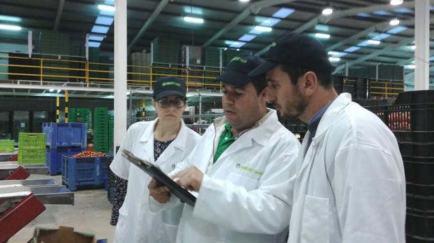 Los empresarios almerienses, los más optimistas de Andalucía de cara a los primeros meses del año