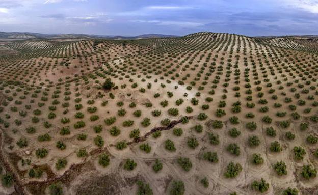 Detenido por robar maquinaría agrícola en una finca de Orcera en la que había estado trabajando