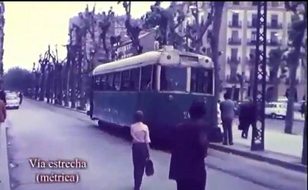 Réquiem por los árboles de la Avenida de Calvo Sotelo