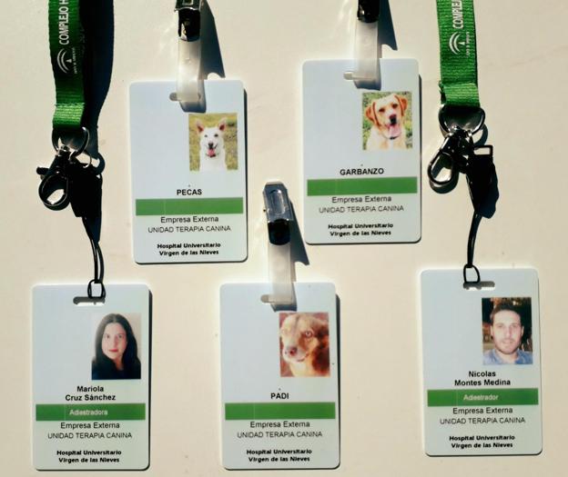 Oncología Infantil de Granada inicia una actividad pionera con 'perros terapeutas'