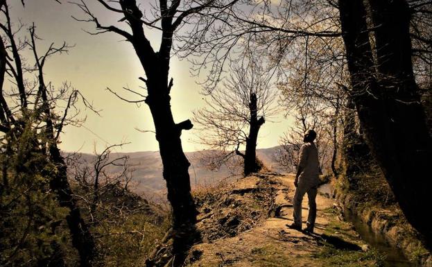 Mecina Bombarón promociona las rutas de las acequias para atraer más turismo de naturaleza en el Parque Protegido de Sierra Nevada