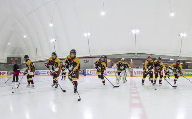 Las Grizzlies necesitan puntuar para evitar el último puesto