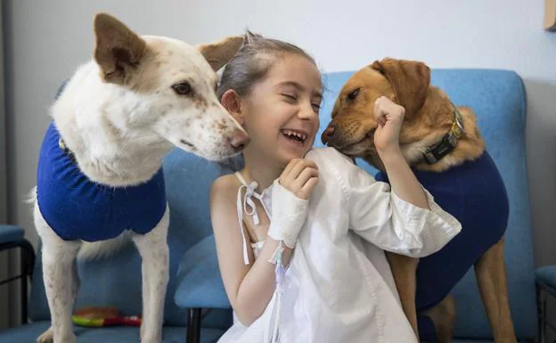 Tres perros terapeutas atienden a niños en el Materno Infantil en Granada