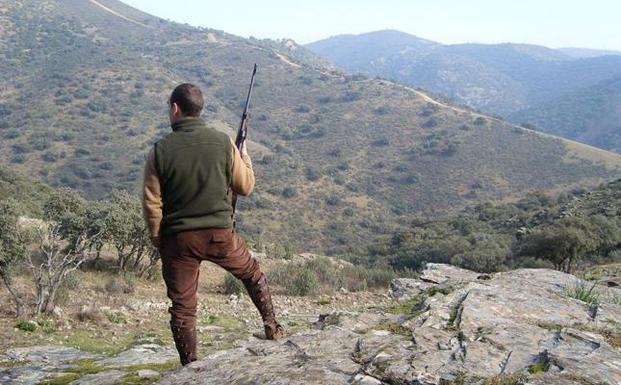 Depredadores que regulan el ecosistema