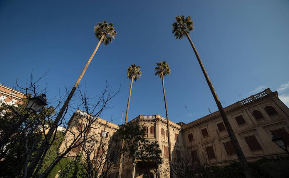 Las palmeras que tocan el cielo de Granada