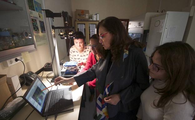 El misterio del estrés de las plantas se resuelve en Granada