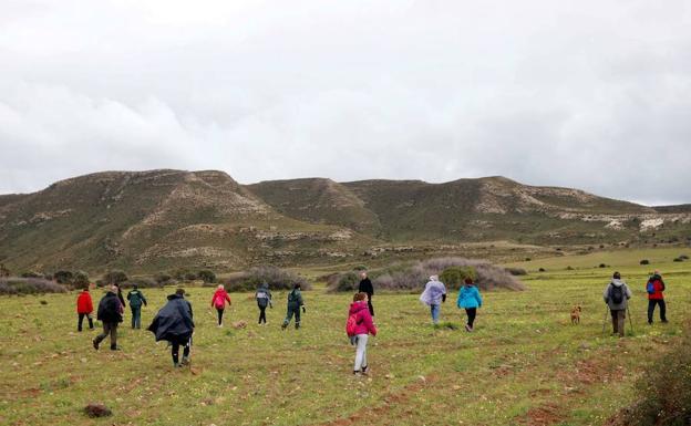 El dispositivo de búsqueda de Gabriel, entre los premiados del 28F en Almería