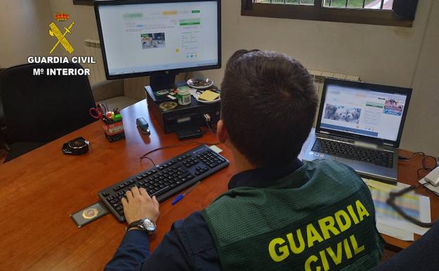 Vendían cachorros online que nunca llegaban a su destino