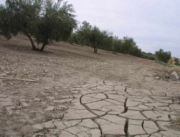 El retraso en las lluvias asusta ya al campo