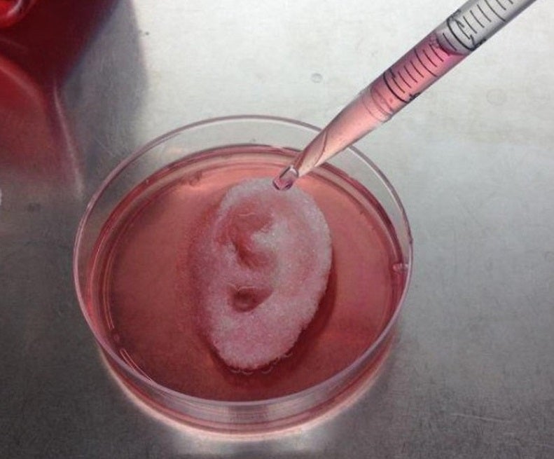 Desarrollan un nuevo método de bioimpresión 3D de tejidos que acelerará la implantación de esta tecnología en la práctica clínica