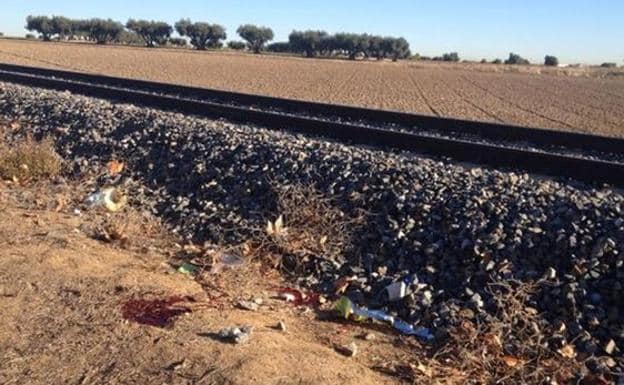 Muere una niña de 14 años arrollada por un tren