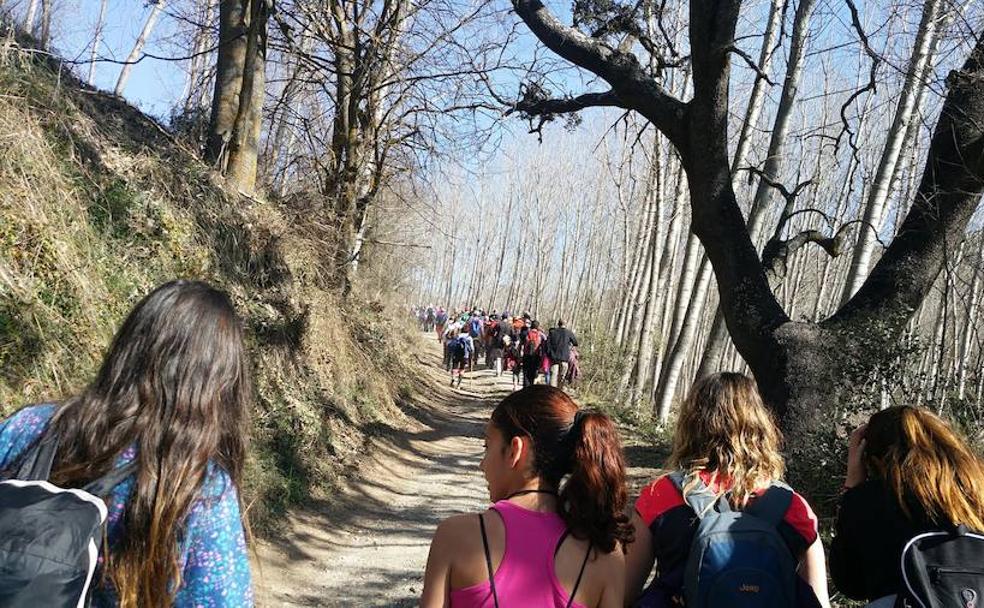 Recuperando el camino a Beas