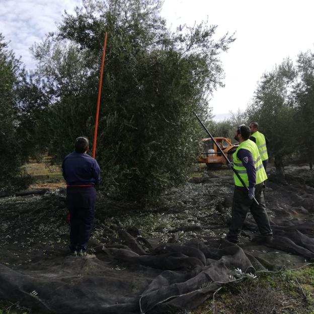 Jaén, más nuevos parados que en ningún otro lado y sólo el 18% cobra ya una prestación contributiva