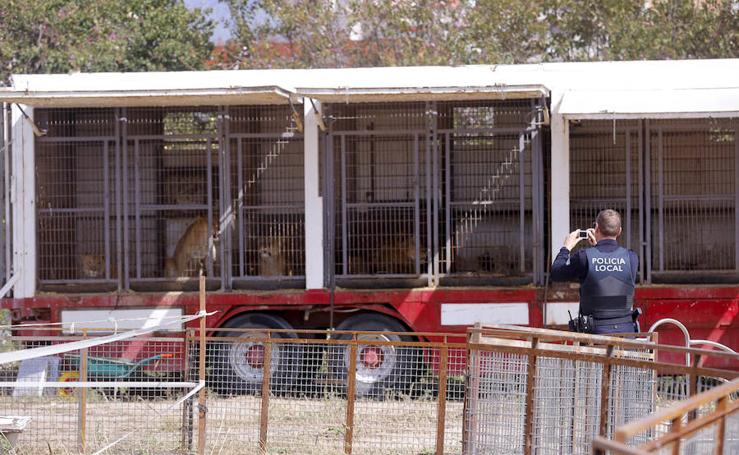 El circo se va de Motril sin subir el telón