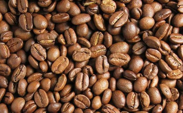 La lucha de un español por recuperar el mejor café del mundo