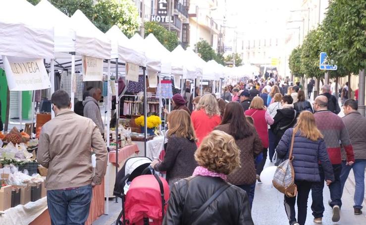 Gran ambiente y buen tiempo en otro domingo sin coches en el centro de Granada
