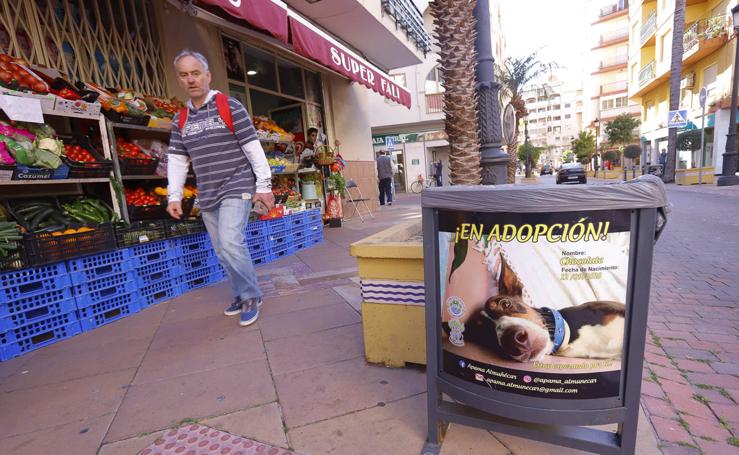 Los 'peludos' sexitanos buscan un hogar al que llevar la felicidad