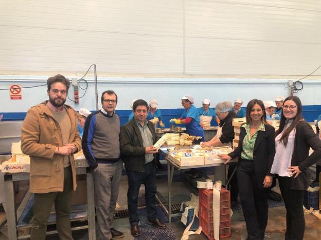 Bedmar y Garcíez inicia la recogida del espárrago